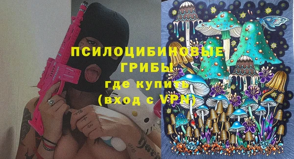 PSILOCYBIN Волоколамск
