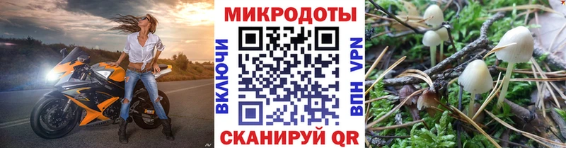 где можно купить   KRAKEN ТОР  Псилоцибиновые грибы ЛСД  Харабали 